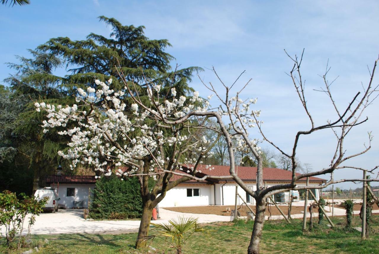 Il Rovere * Lonato