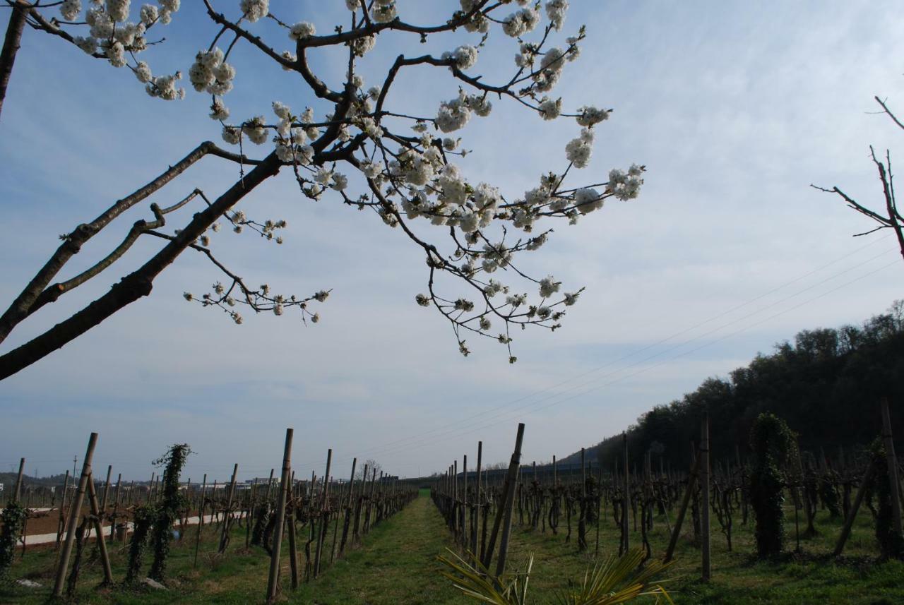 Farm stay Il Rovere